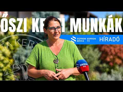 Ősszel EZEKET érdemes megcsinálni a kertben