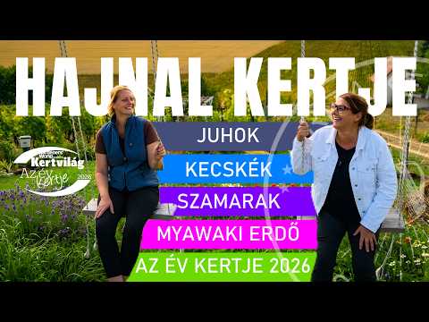 DÍJNYERTES KERT! Birkák, csacsik egy mesés Miyawaki