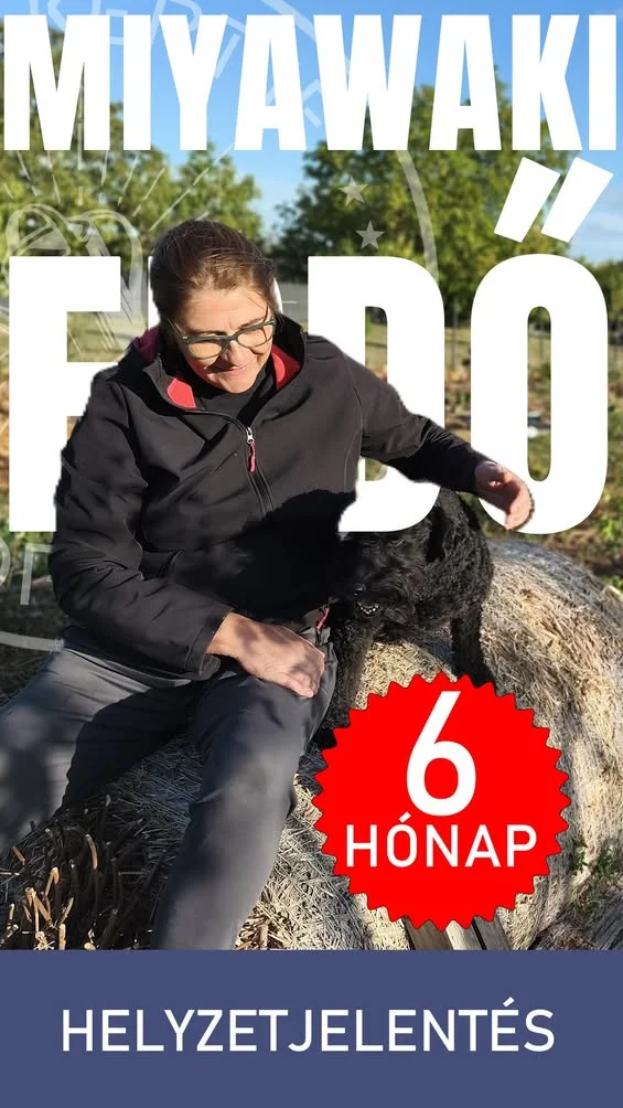 Így fejlődik a MIYAWAKI erdőnk a szárazság ellenére – eltelt fél év Nézzük meg együtt, hogyan fejlődik a soproni Miyawak…