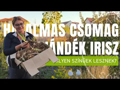 MEGLEPETÉS ajándékcsomag! Íriszek ültetése és tőosztása – TIPPEK
