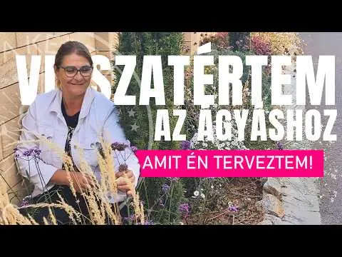 Visszatértem a kertbe, amit én terveztem!