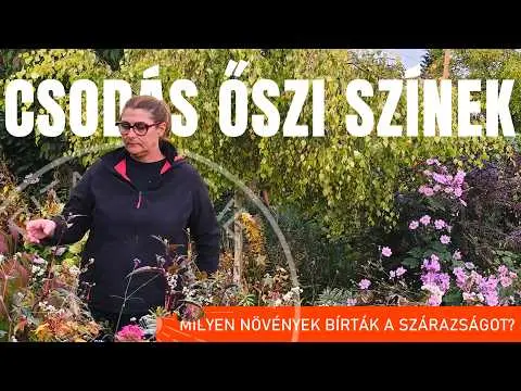 ŐSZ a kertben: TIPPEK és látványos őszi növények